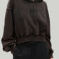 Front view of Dark Brown PROJECT-GAP-Vintage-Hoodie